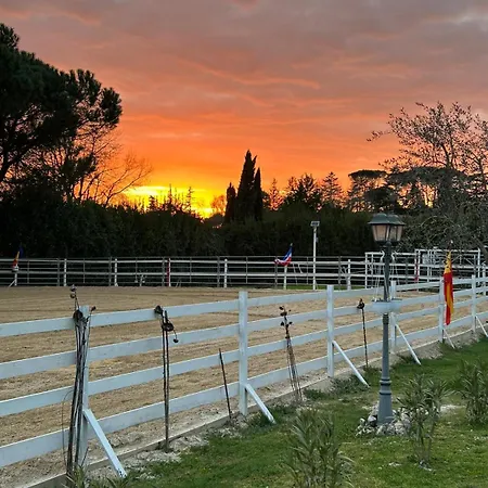 Scuderie Vgb Camera Piscina E Maneggio 公寓 萨克奥法诺